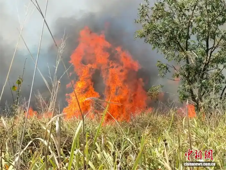 1755570116876309.png 51848843-209b-4e25-85e0-bfacc6c58e94.png