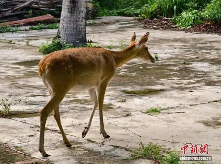 1755570131872878.png ae45727a-5167-4589-a76e-f4819fe833e7.png