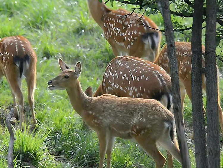 1755570887119345.jpg 90f899c6-5e15-4dae-b8e6-33dfac64164b.jpg