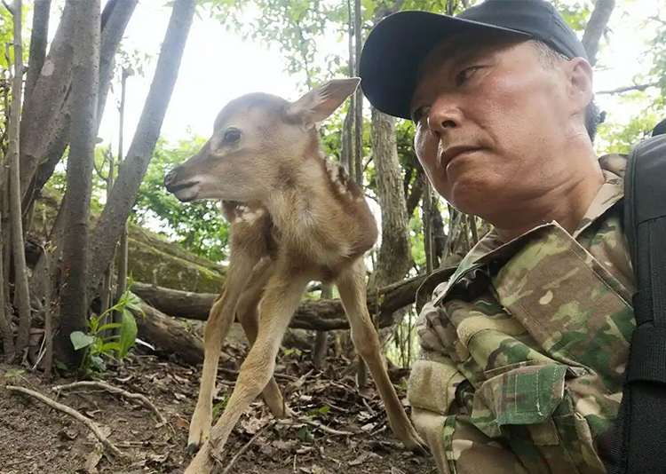 1755570925616512.jpg e693ba6a-2ac0-4503-b2e4-3f82dc130999.jpg