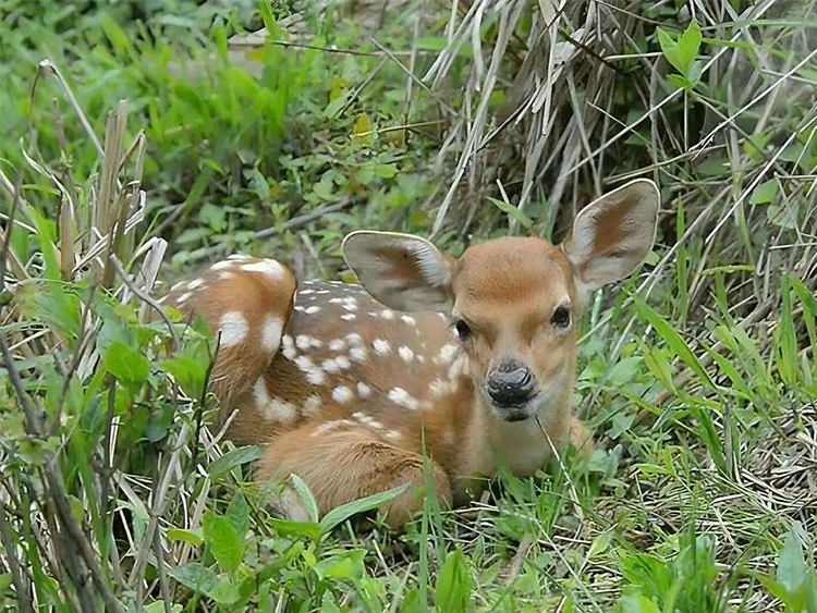 1755570963739178.jpg 70c970ba-26d0-4aa5-a83c-628b6d28ee4c.jpg