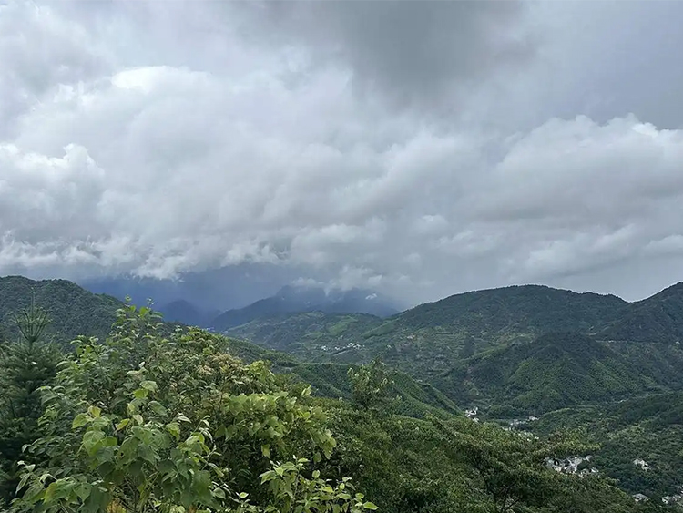 1755571089815133.jpg 30ea5c1b-2756-430a-9f5d-6d21ea40e9cf.jpg