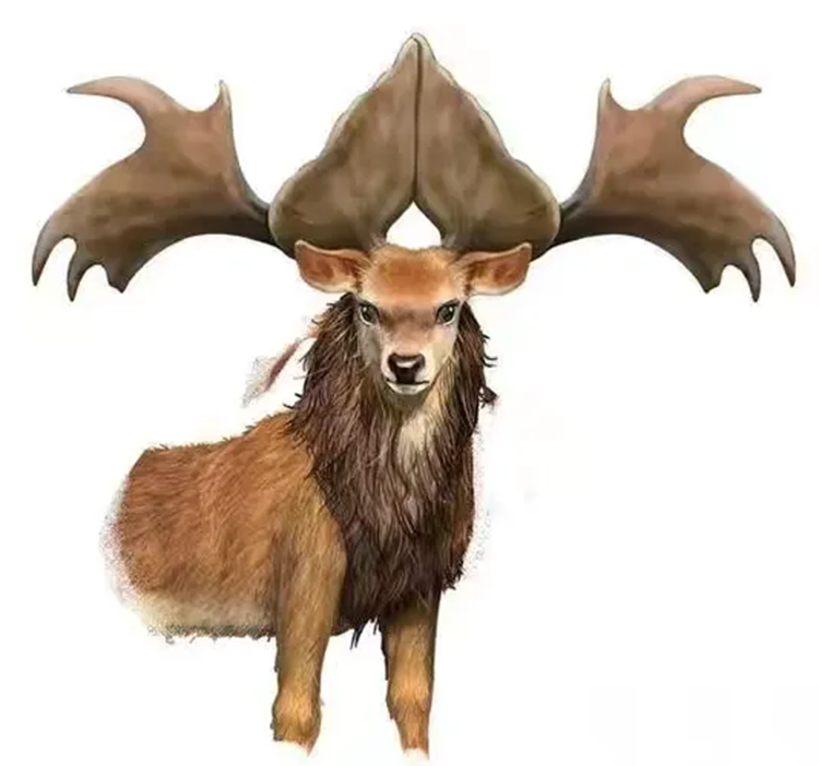 6.png