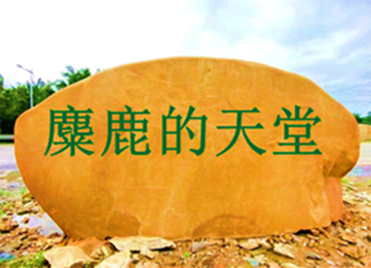 1759884083190024.png 3.png