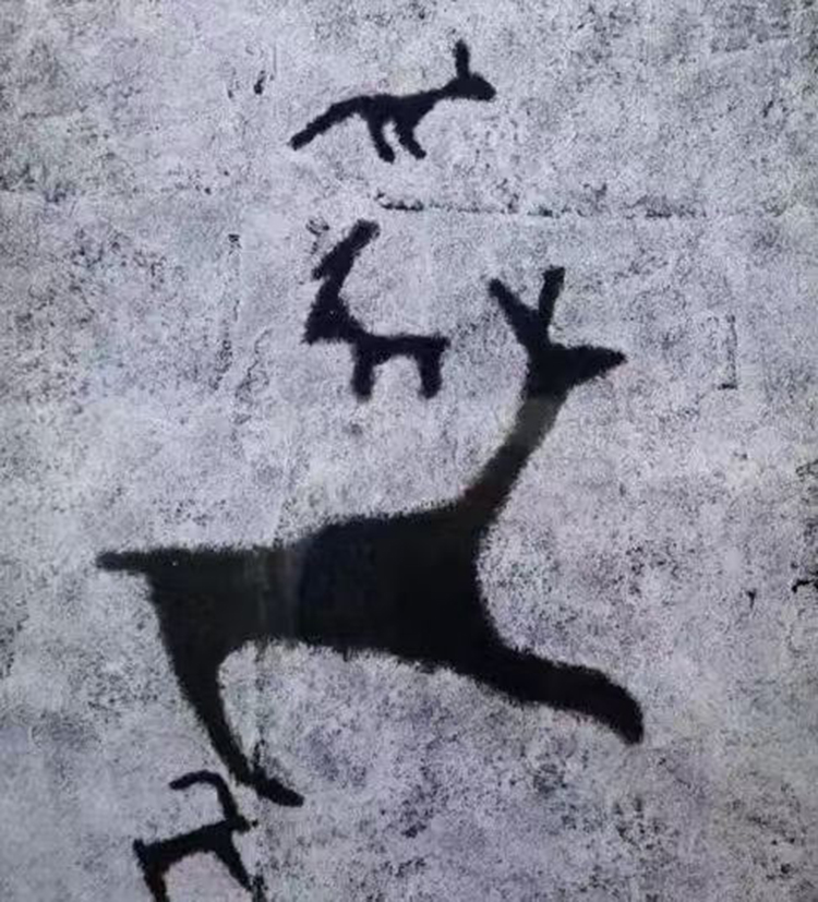 1761026513530428.jpg 32c5c99b1d2787e2398e6ade713f85cb.jpg