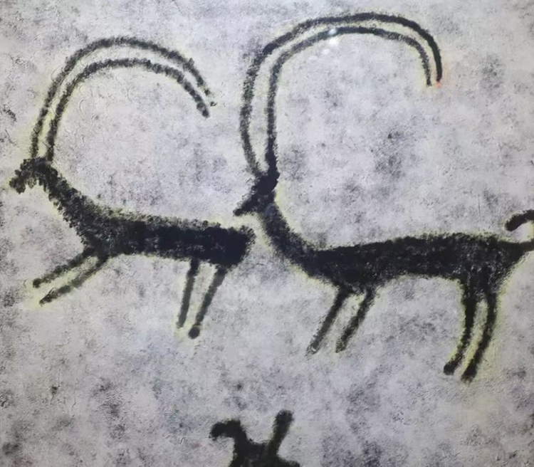 1761026578746495.jpg 75d3992cd558761cc5784b2df5c370e7.jpg