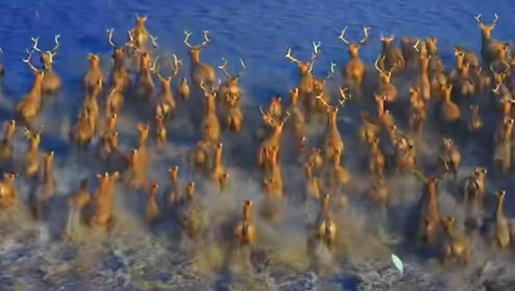 1774832263424937.png 1.png