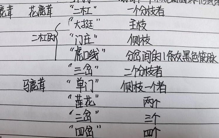 WPS图片.jpeg
