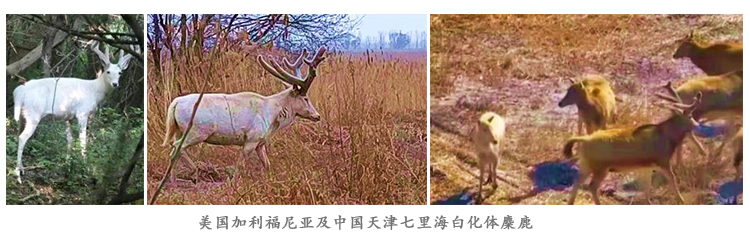 1779065346410364.jpg 未标题-1.jpg