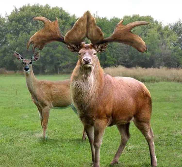 1780275547361026.png 1.png