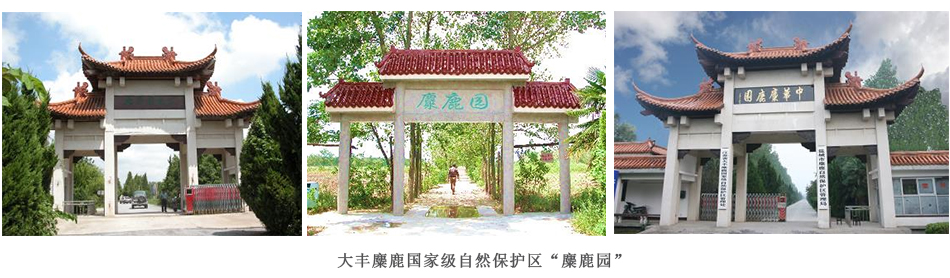 1781574175985193.jpg 未标题-1.jpg