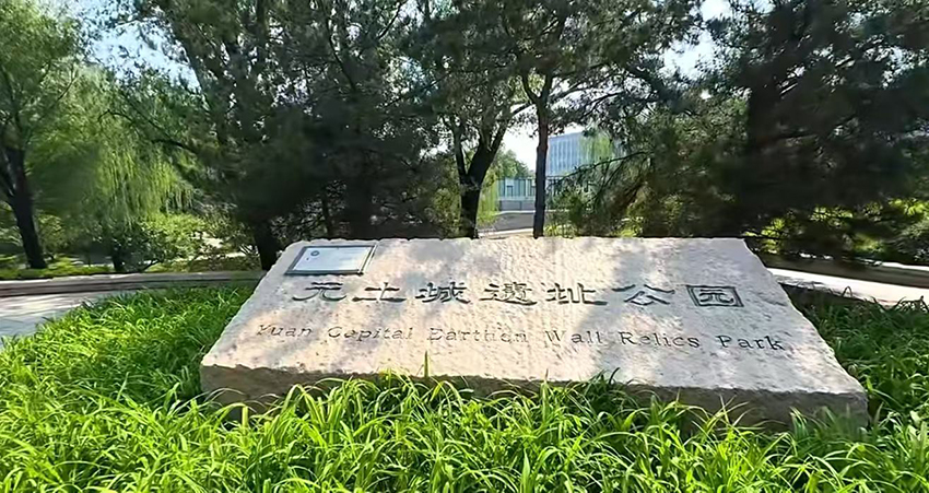 1782263473315423.jpg 4.jpg